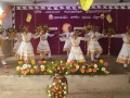DSC00113_n.jpg